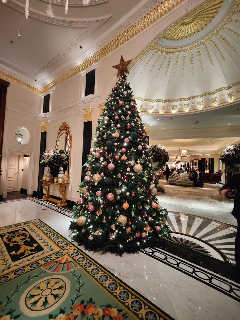 Xmas tree in the foyer